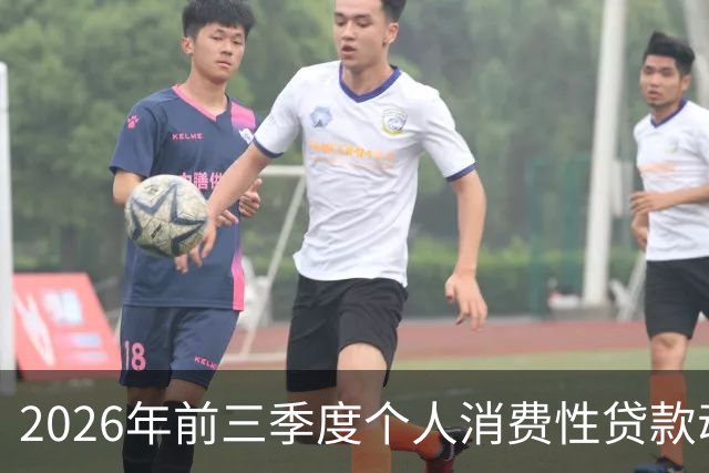2026年前三季度个人消费性贷款动态分析